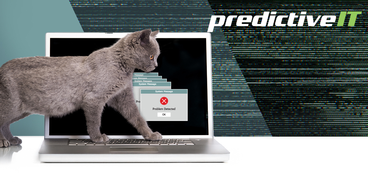 Cat walking across a laptop with system error messages on screen, representing unexpected IT issues and the need for proactive IT support from predictiveIT.